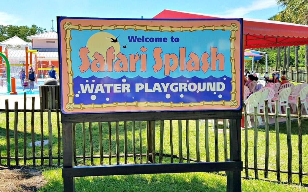 Beat the Summer Heat with 14 Fun Water Parks, Pools and Splash Pads in The Palm Beaches