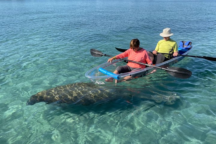 Discover Jupiter’s Natural Wonders with a Clear Kayak Tour