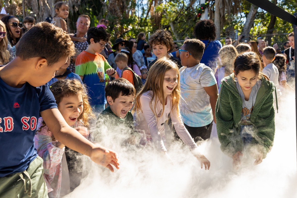 Celebrate Fall with Science: Join the Family Fun Fest at Cox Science Center